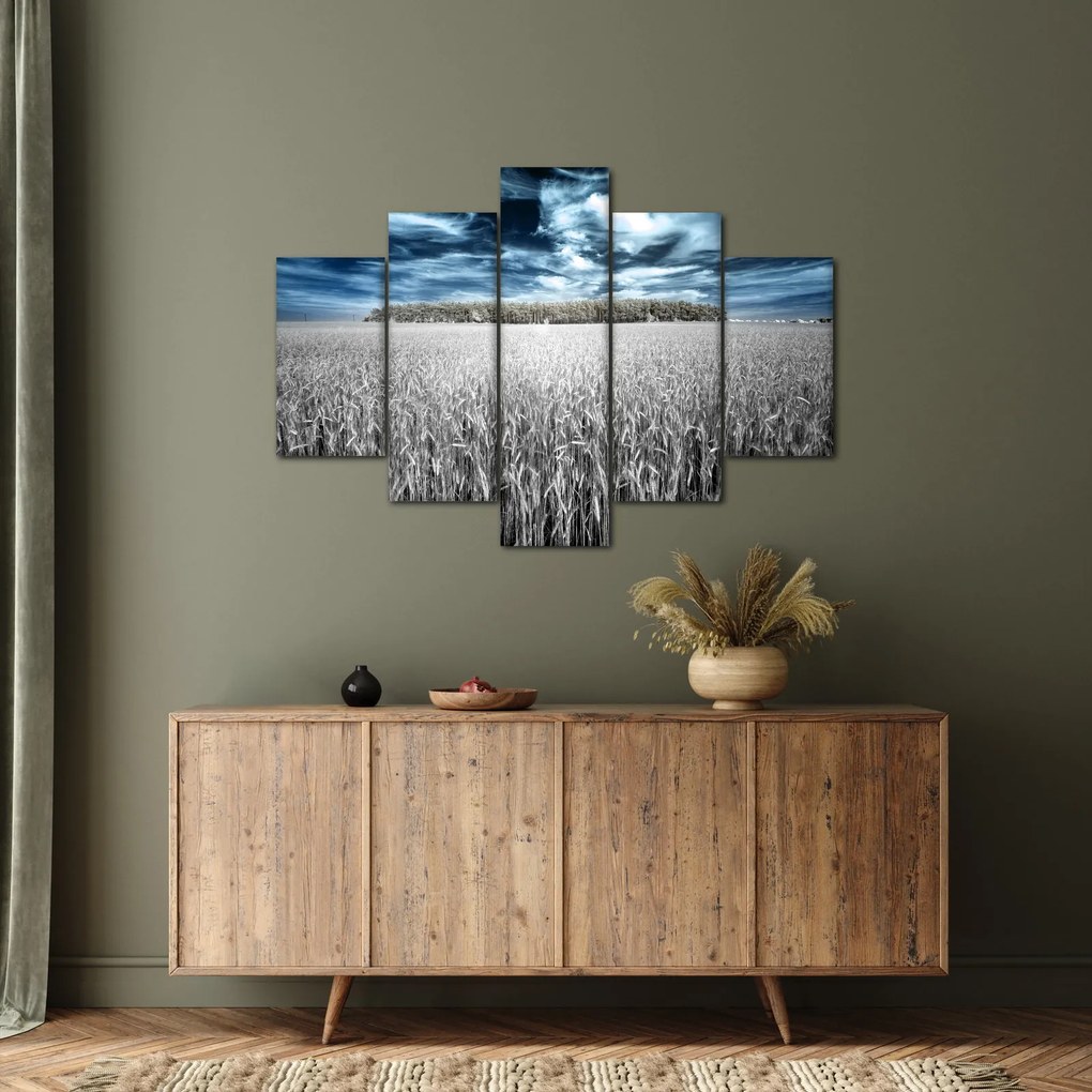 Obraz pole (150x105 cm)