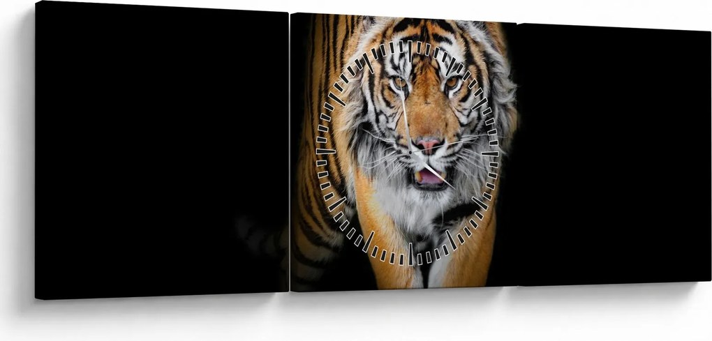 Obraz - Tiger (s hodinami) (90x30 cm)