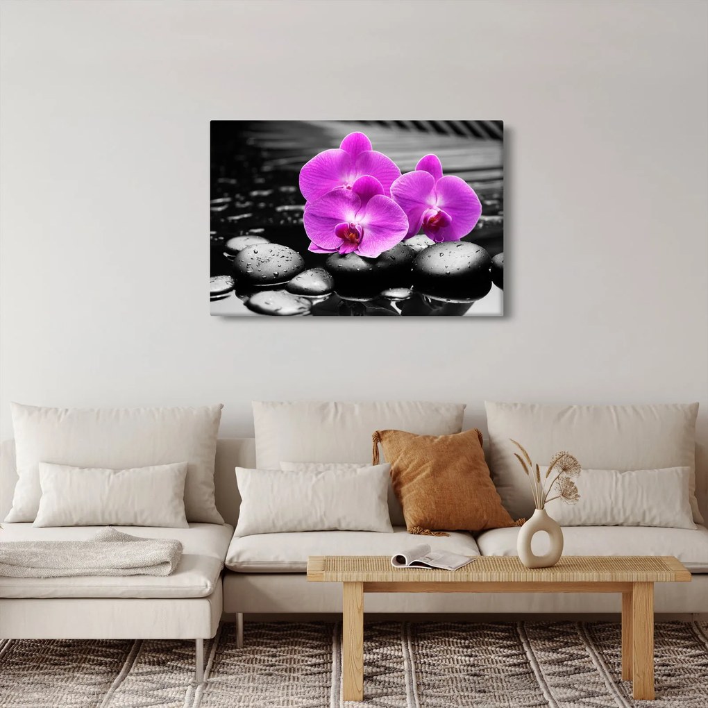 Obraz - Fialové orchidey (90x60 cm)
