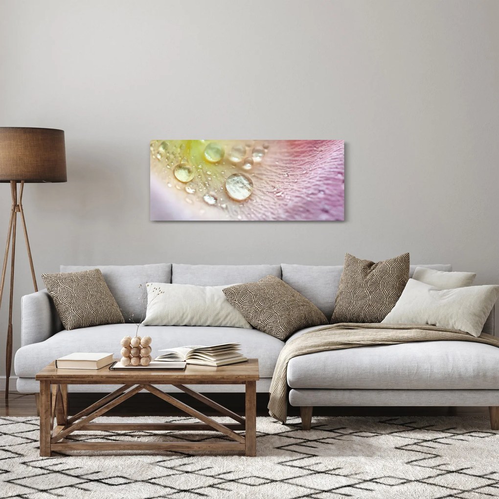 Obraz - Kvapôčky (120x50 cm)