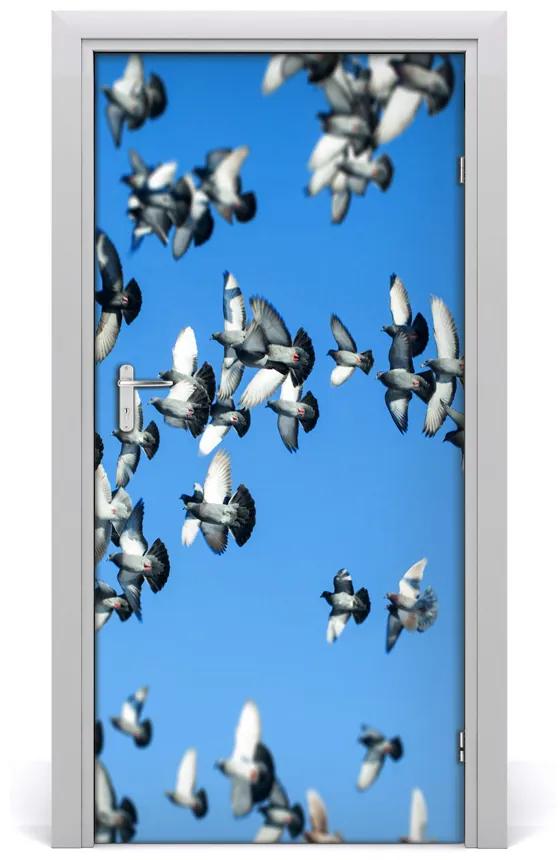 Fototapeta na dvere holuby na nebi 85x205 cm