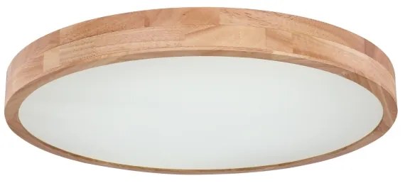 Globo 41745-48 - LED Stmievateľné stropné svietidlo RAINER LED/48W/230V + DO