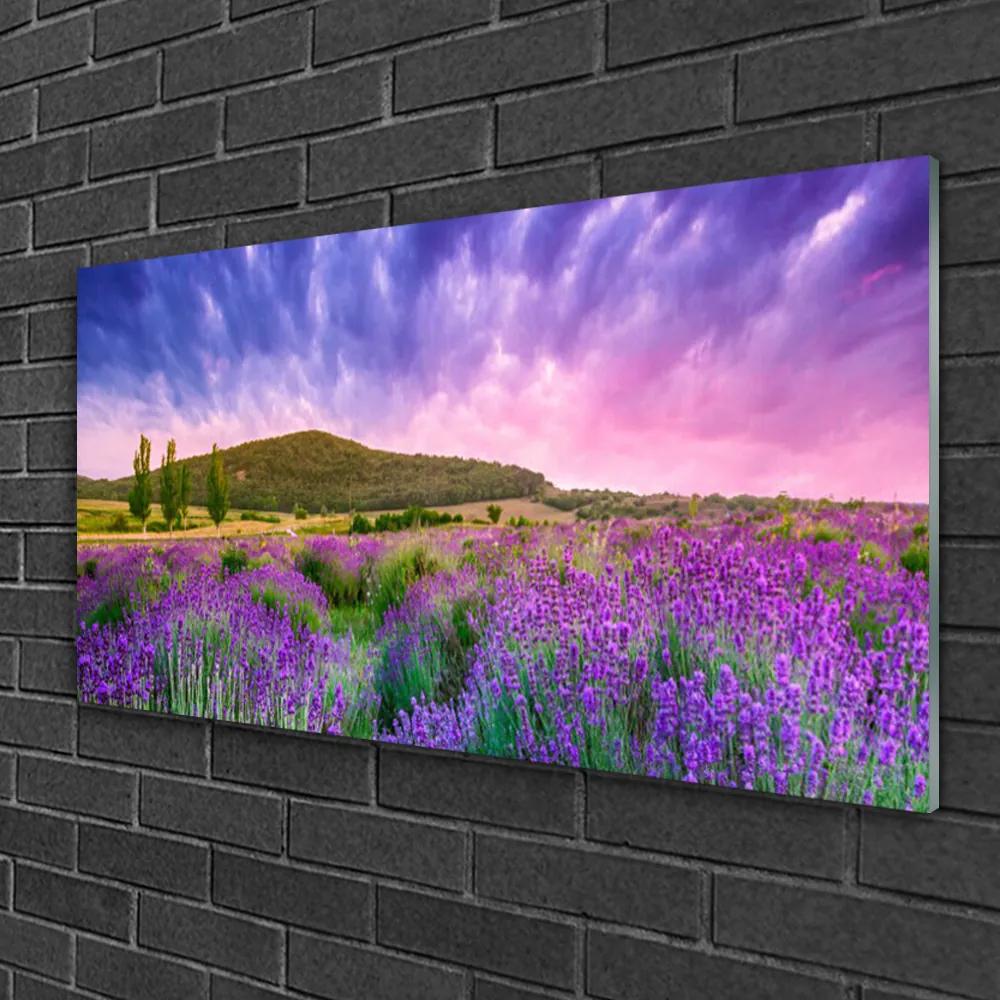 Obraz na skle Lúka kvety hory príroda 120x60 cm