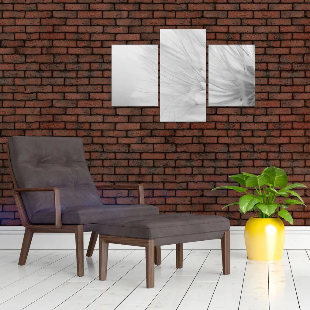 Obraz - Púpava (90x60 cm)