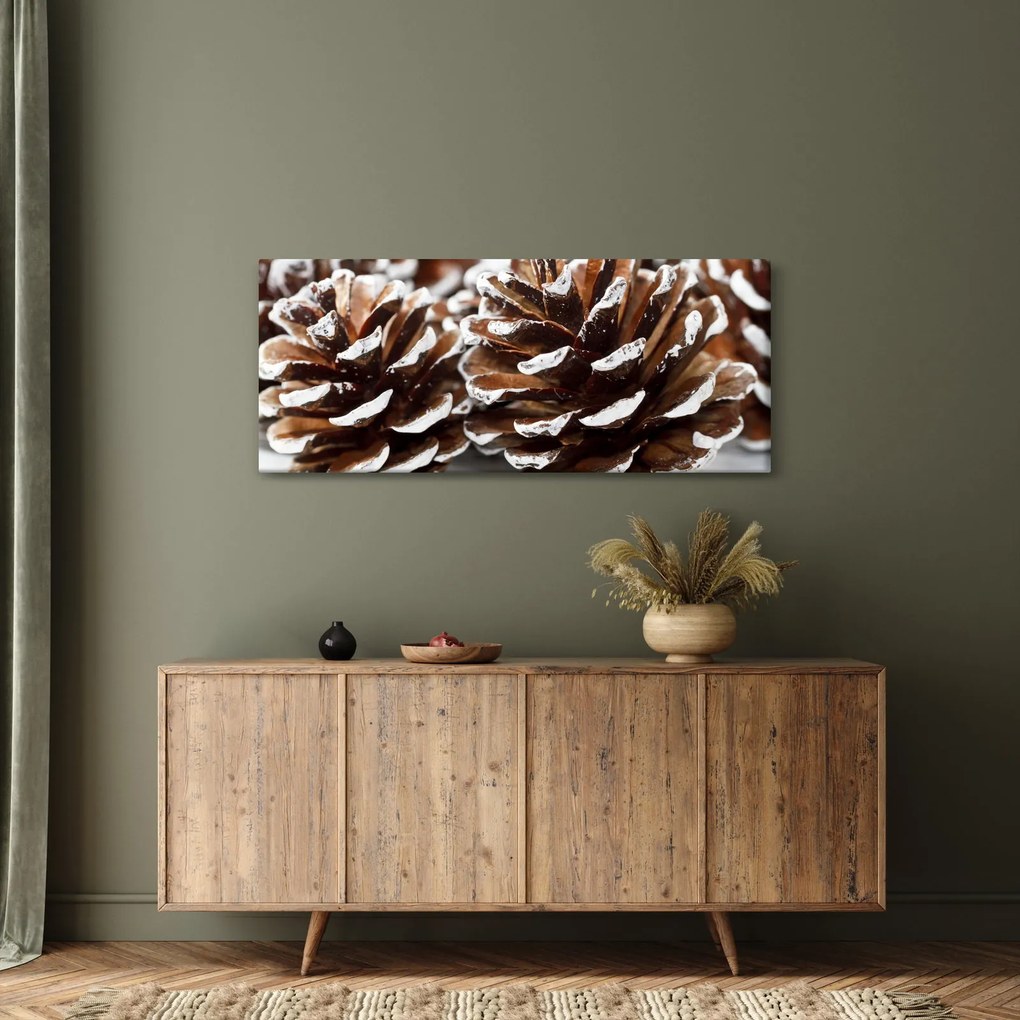 Obraz - Šišky (120x50 cm)