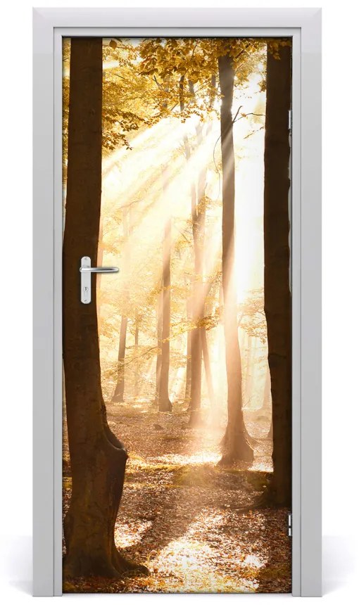 Fototapeta na dvere samolepiace les jeseň 75x205 cm
