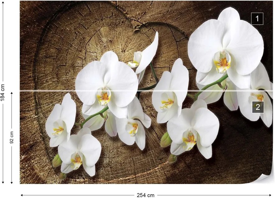 GLIX Fototapeta - Flowers White Orchids Wood Background Vliesová tapeta  - 254x184 cm