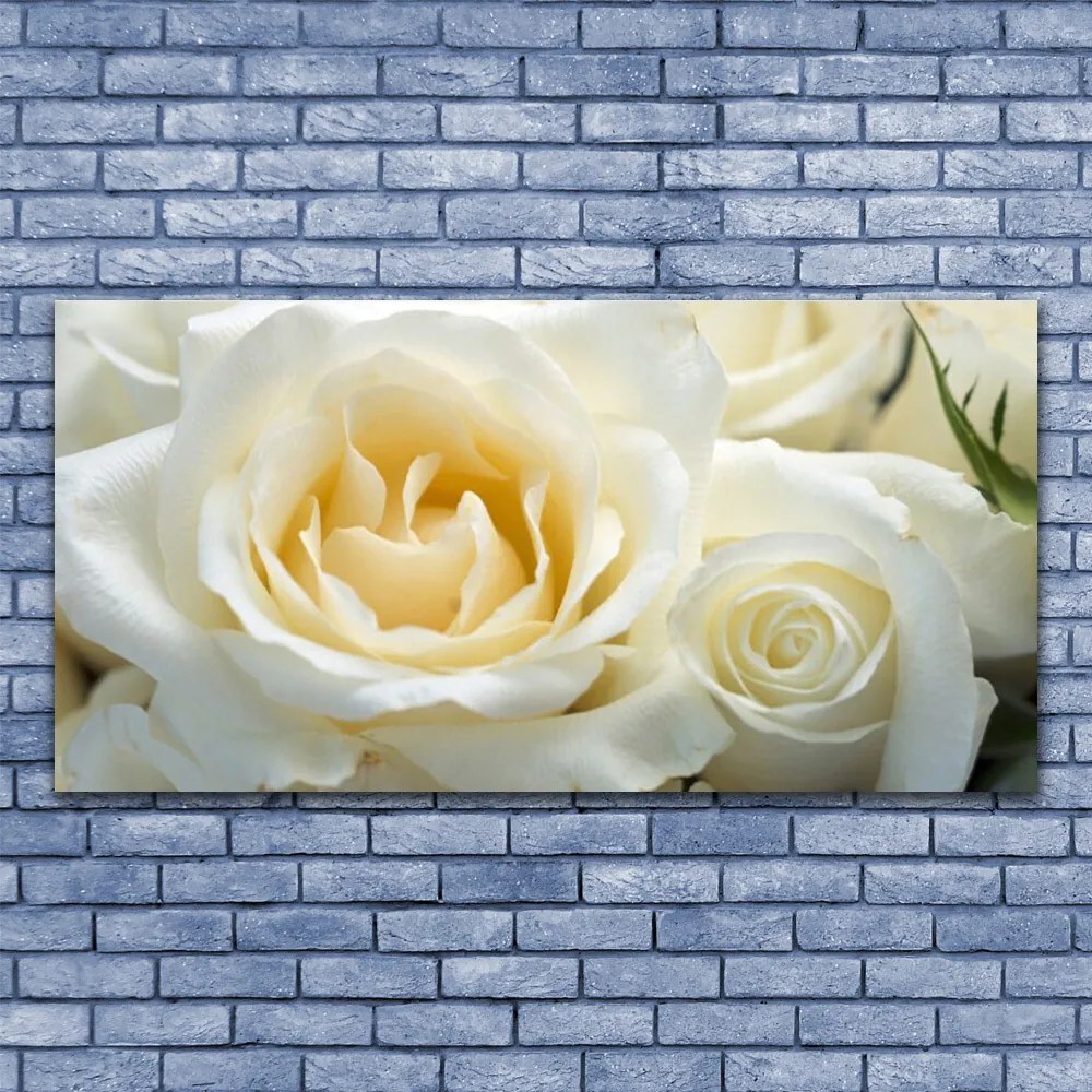 Obraz na plátne Ruže kvety 140x70 cm