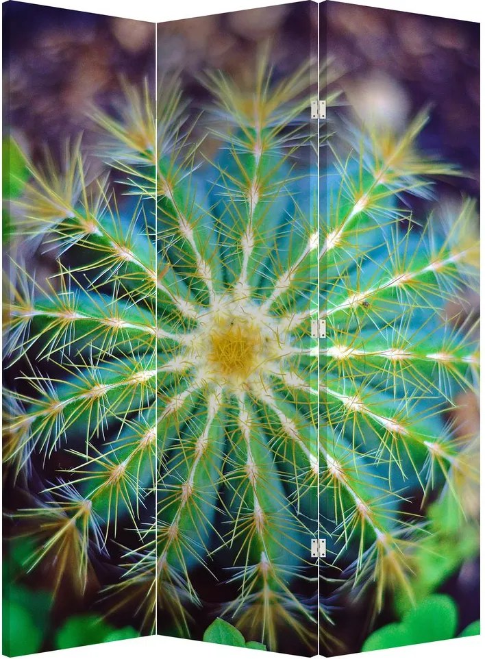 Paraván - Kaktus (126x170 cm)