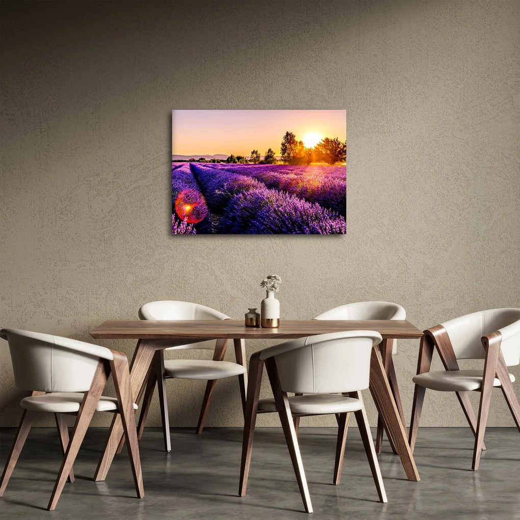 Obraz levanduľového poľa (70x50 cm)