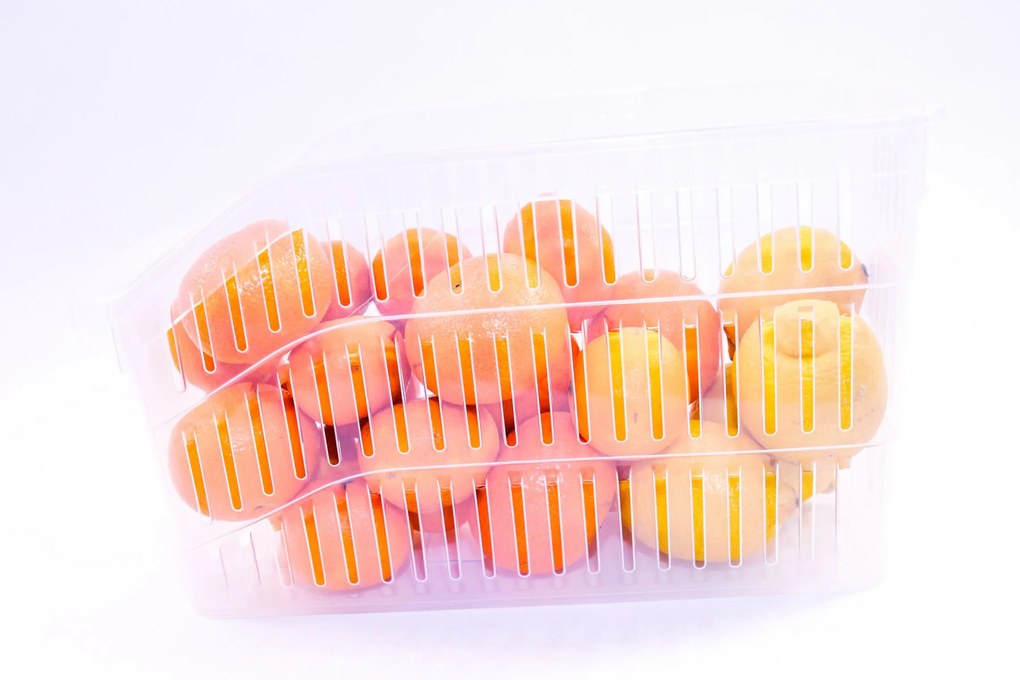 Orion Organizér, košík do chladničky aj police – ADEL vysoký, transp., 30 x 13 x 17 cm