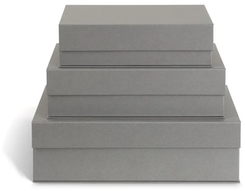Sivé kartónové úložné boxy v súprave 3 ks s vekom/dekoratívne 42,5x29,5x13 cm Kian Paper Laminate – Bigso