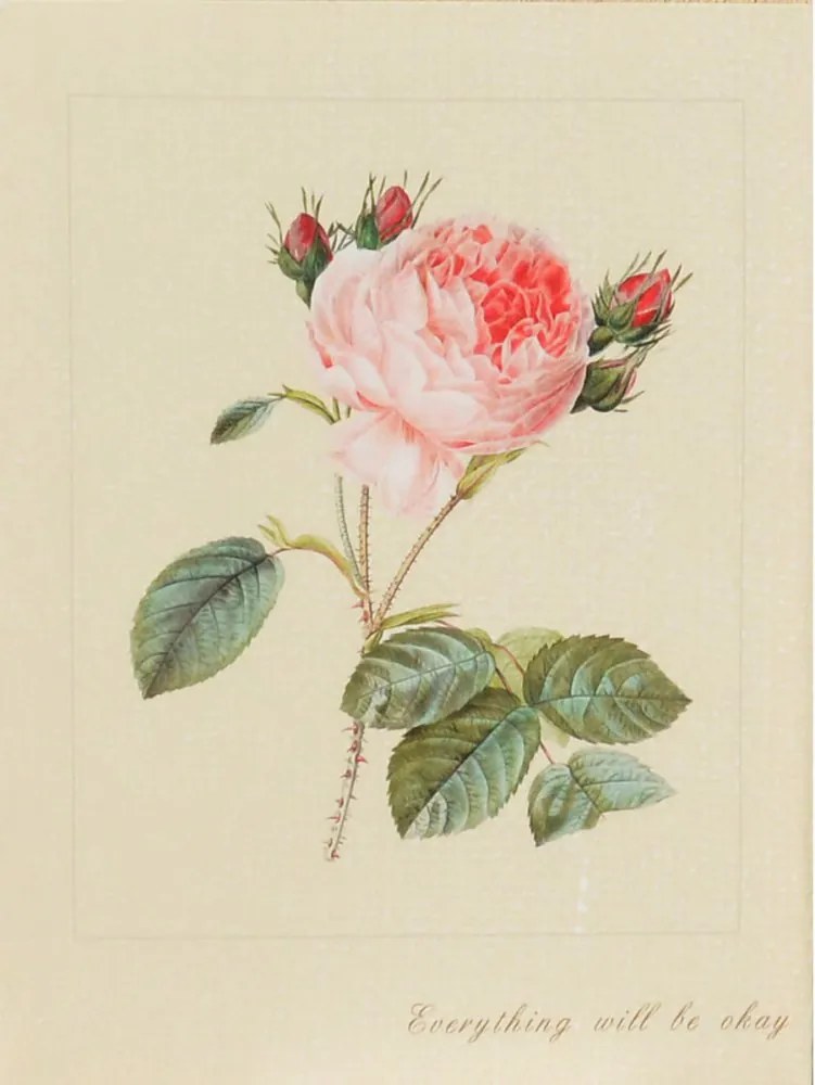Falc Obraz na plátne - Šípová ruža, 30x40 cm