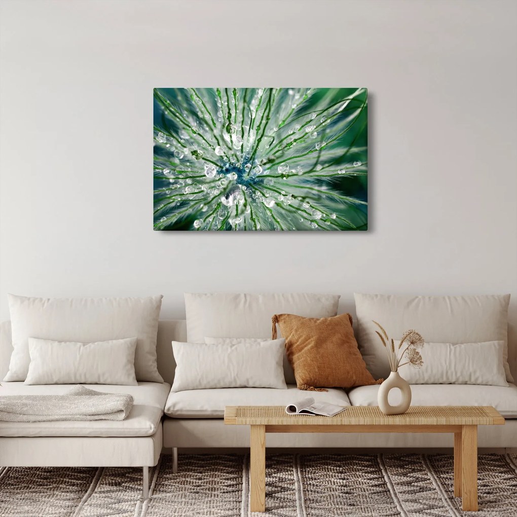 Obraz - Makro snímka kvetu (90x60 cm)