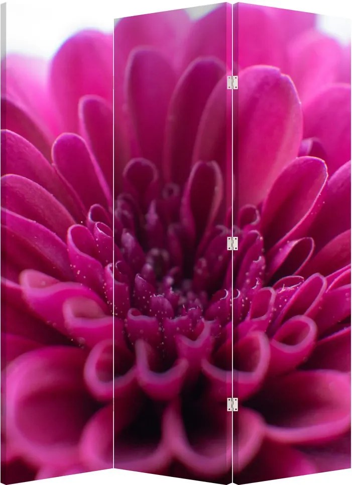Paraván - Kvetina (126x170 cm)