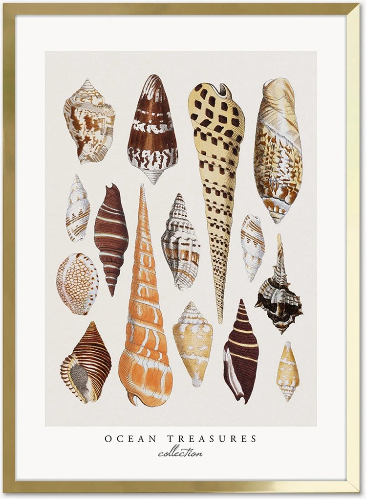 Nástenná dekorácia v ráme Ocean Treasures