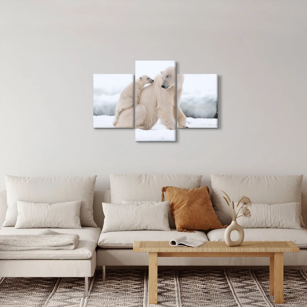Obraz - Ľadové medvede (90x60 cm)