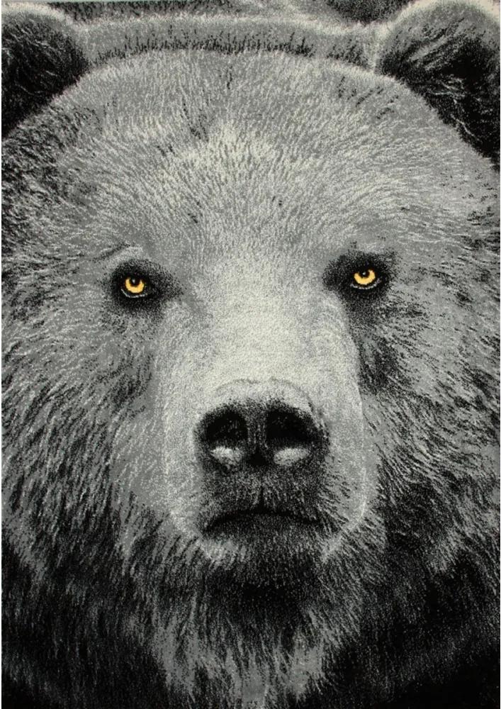 Kusový koberec Medveď sivý 2, Velikosti 120x170cm