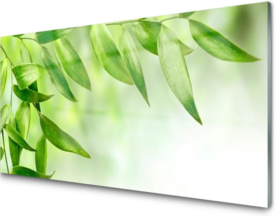 Skleněný obraz Zelené Listy Príroda