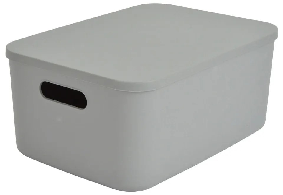 Sivý plastový úložný box s vekom 35,5x25,5x16 cm – Homéa