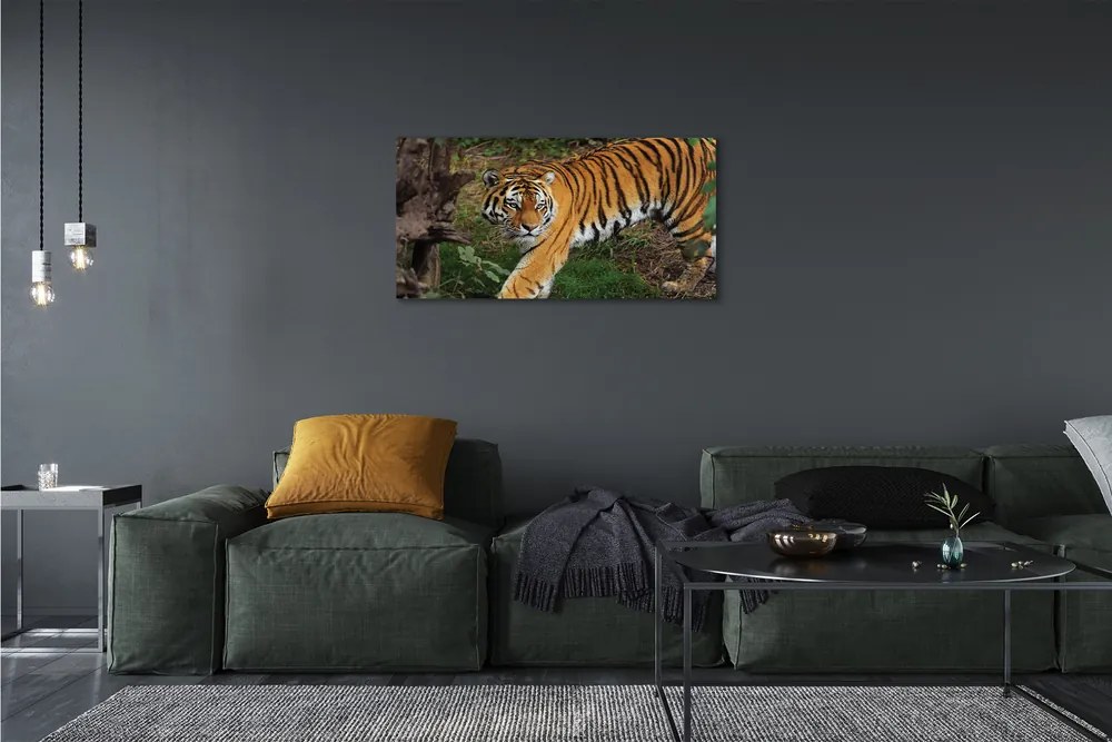 Obraz na plátne Tiger Woods 120x60 cm