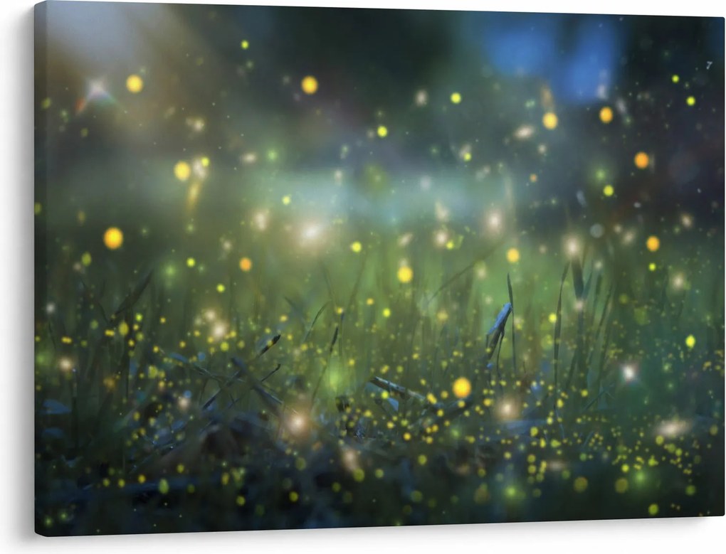 Obraz - Čarovná noc (70x50 cm)