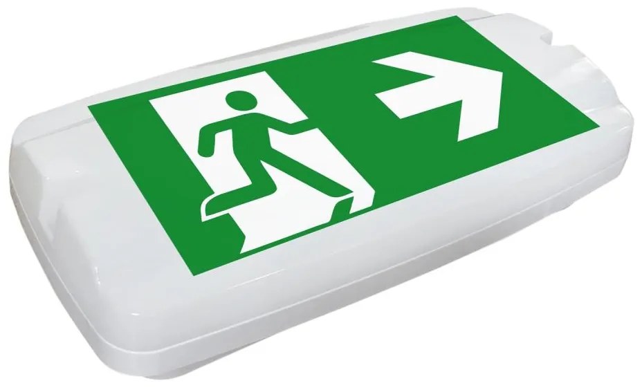 Fulgur 26201 - LED Núdzové svietidlo SAFEBOY LED/6W/230V IP65 6500K FG26201