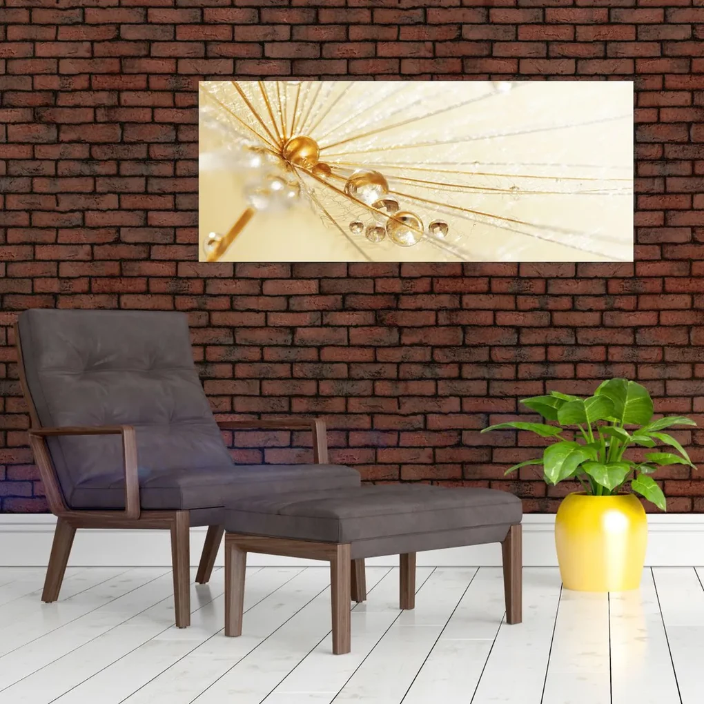 Obraz - Makro fotografie púpavy (120x50 cm)