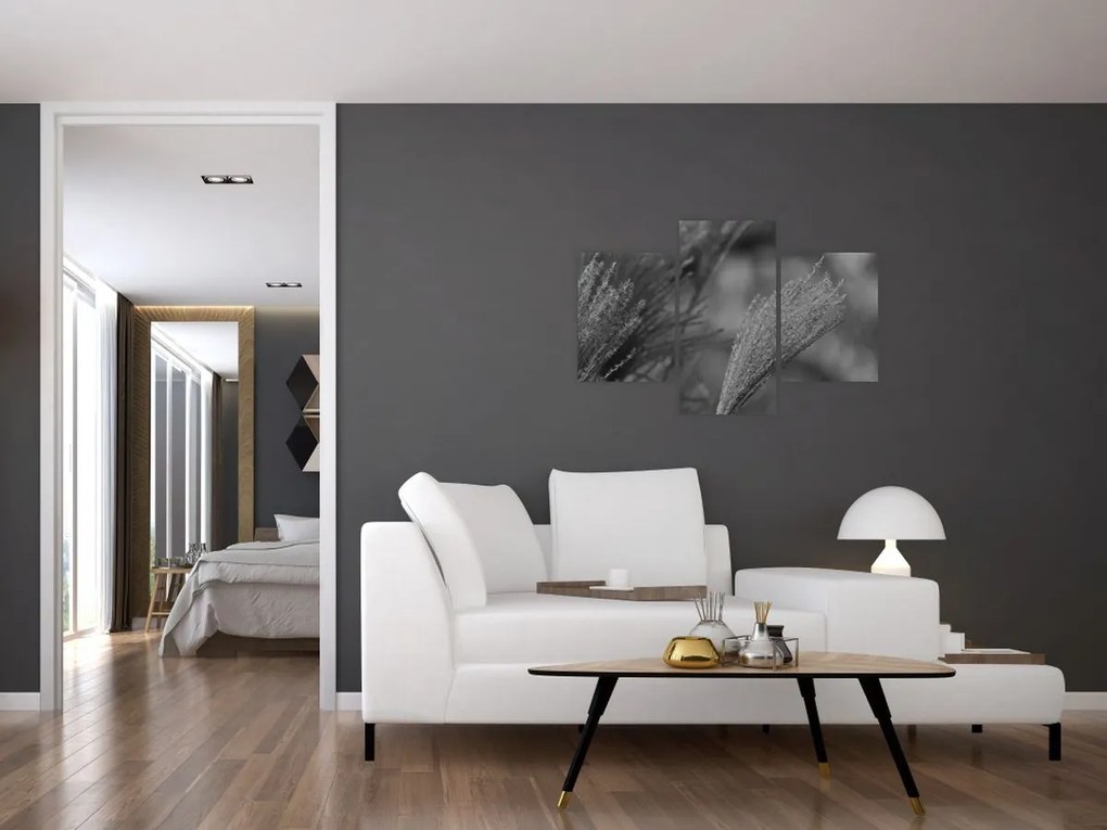 Obraz - Sušená pampová tráva (90x60 cm)