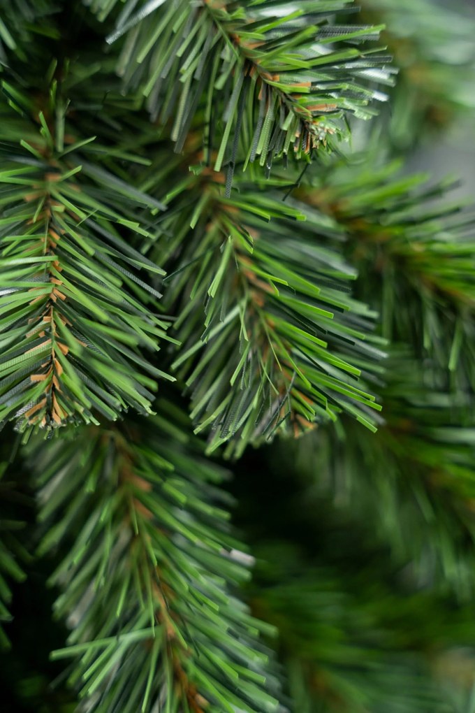 Limpol Vianočný stromček horský smrek 1,50 m