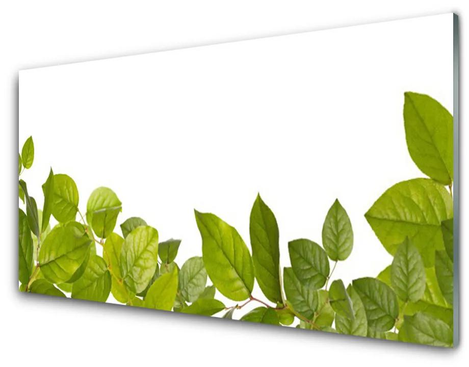 Skleneny obraz Listy príroda rastlina 140x70 cm