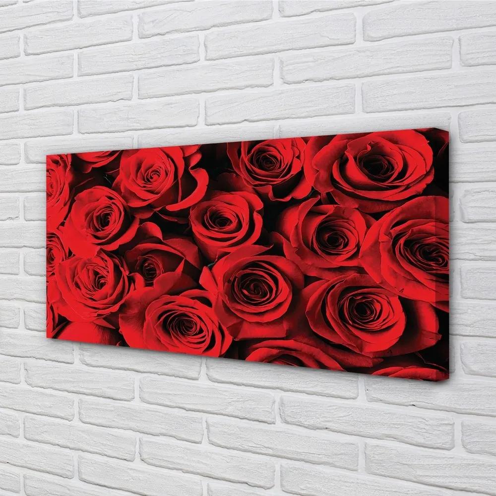 Obraz canvas ruže 140x70 cm