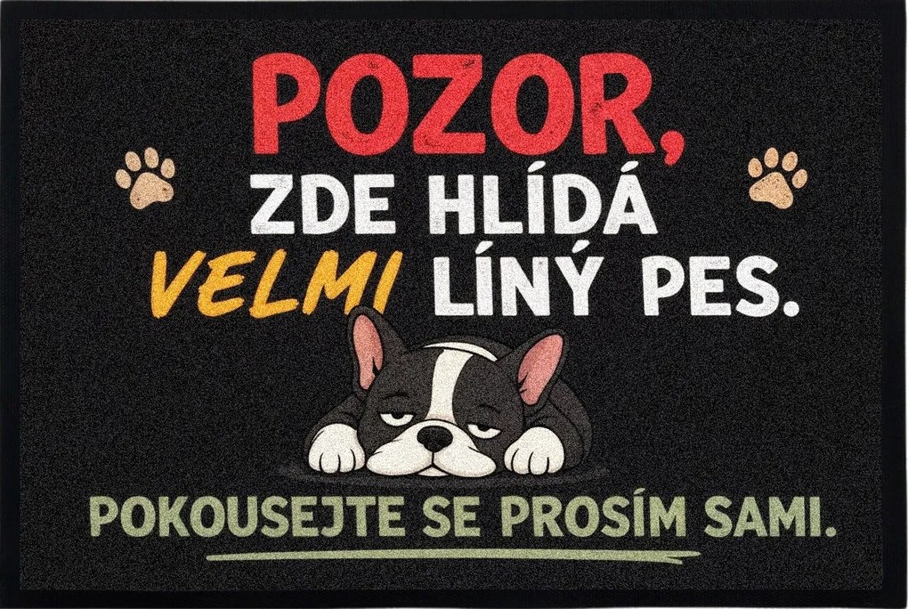 Mercury Flooring, Rohožka Líný pes 40x60 cm - na von aj na doma, 40x60, šedá