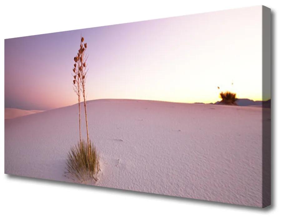 Obraz Canvas Púšť písek krajina 140x70cm
