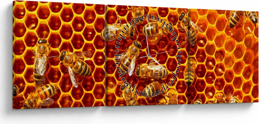 Obraz - Medový plást (s hodinami) (90x30 cm)