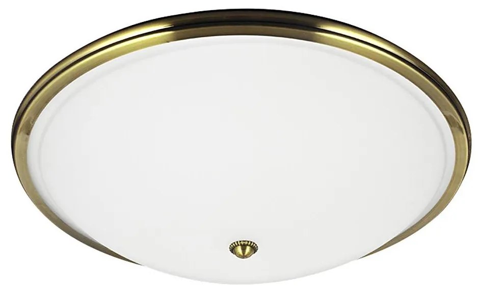 Stropné svietidlo VIOLA 2xE27/40W/230V