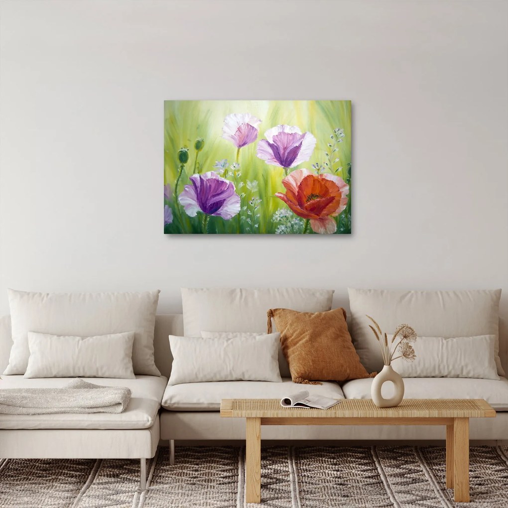 Obraz - Vlčie maky (70x50 cm)