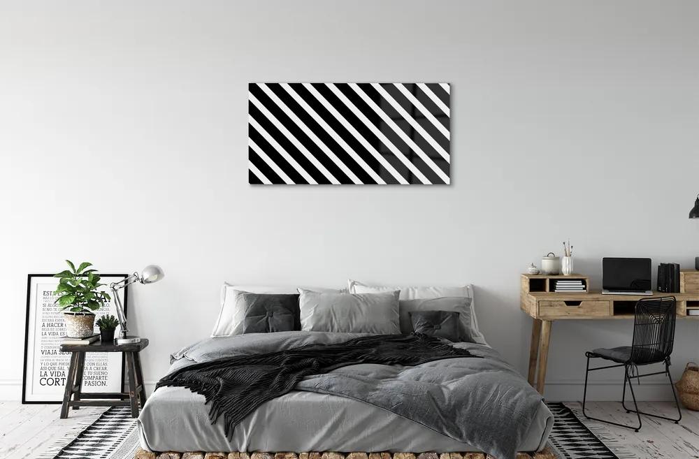 Obraz na akrylátovom skle Zebra pruhy 100x50 cm