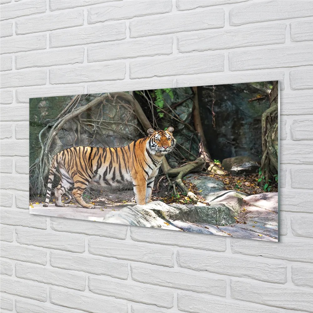 Nástenný panel  tiger džungle 120x60 cm