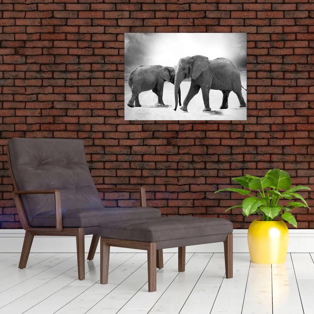 Sklenený obraz slonov (70x50 cm)