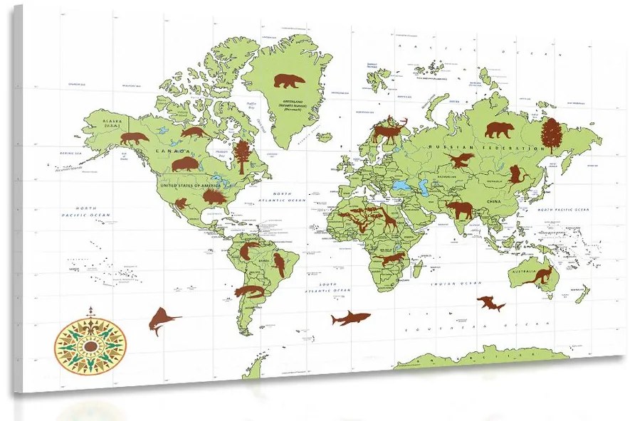 Obraz mapa so zvieratami Varianta: 120x80