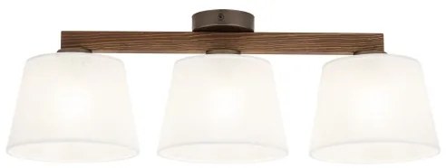 Brilagi - Prisadený luster LATTE 3xE27/15W/230V borovica/biela