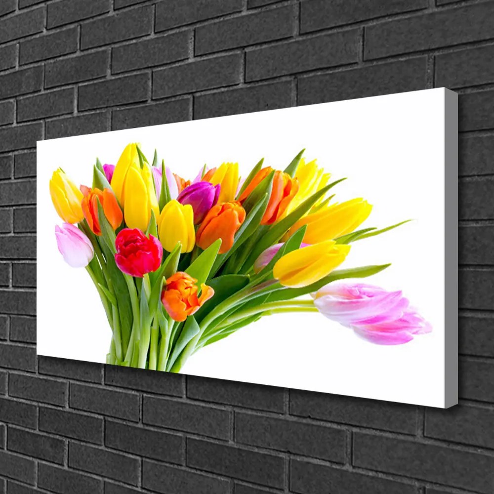 Obraz Canvas Tulipány kvety rastlina 100x50 cm