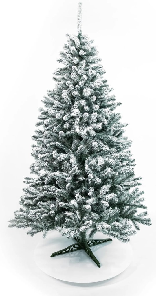 Limpol Jedľa Renata strieborná zasnežená Výška stromčeka: 220 cm