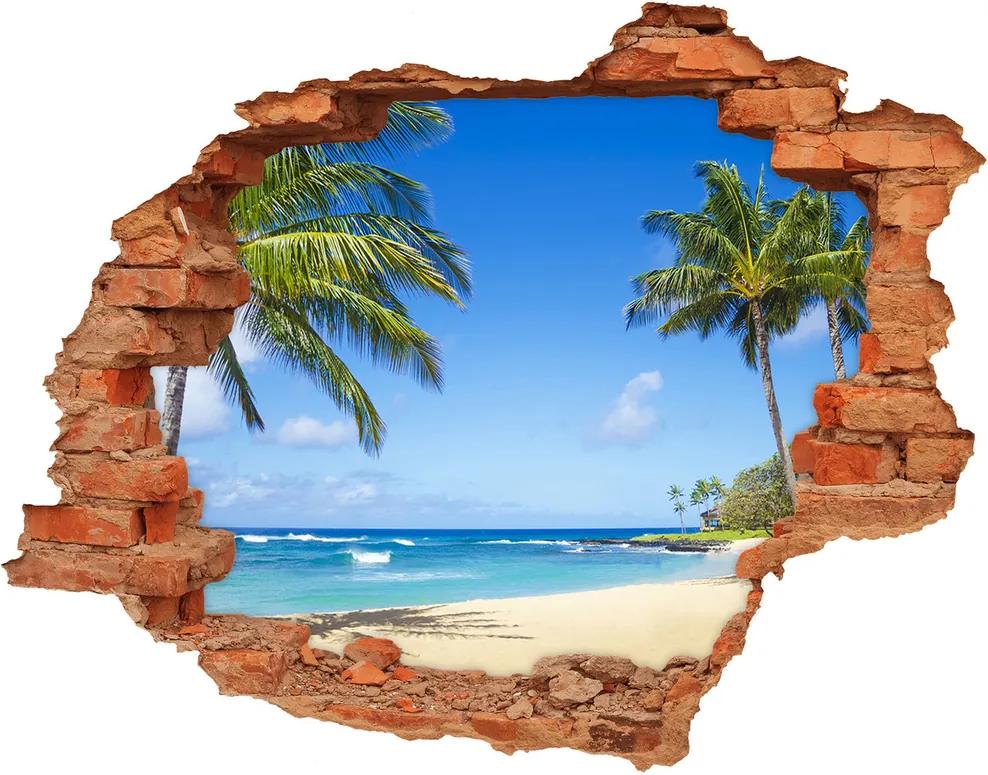 Diera 3D v stene nálepka Tropická pláž WallHole-cegla-90x70-53431750