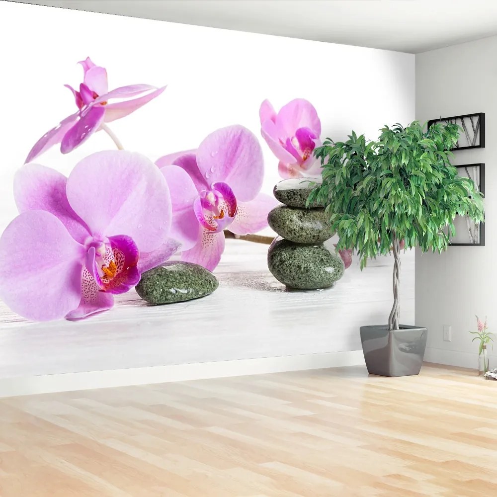 Fototapeta Vliesová Kúpele orchidea 152x104 cm