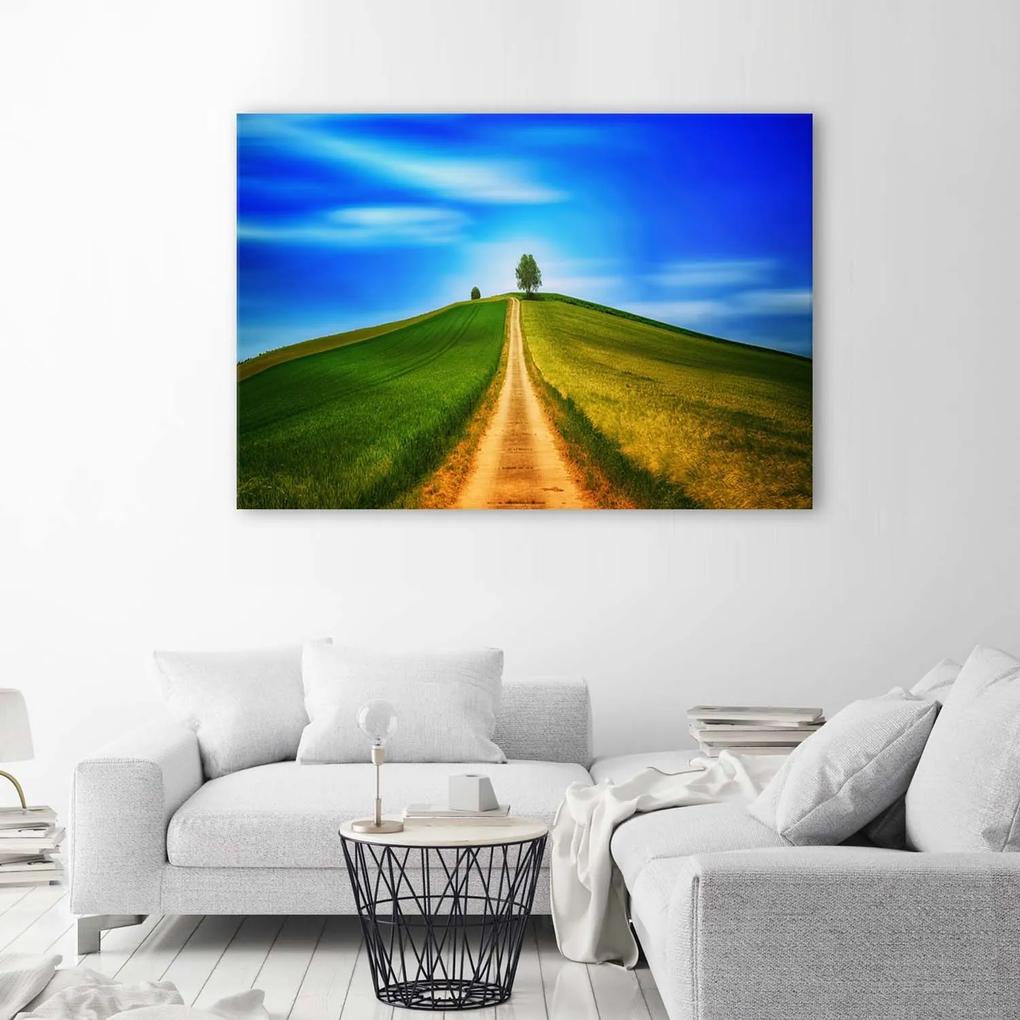 Gario Obraz na plátne Cesta na kopec Rozmery: 60 x 40 cm