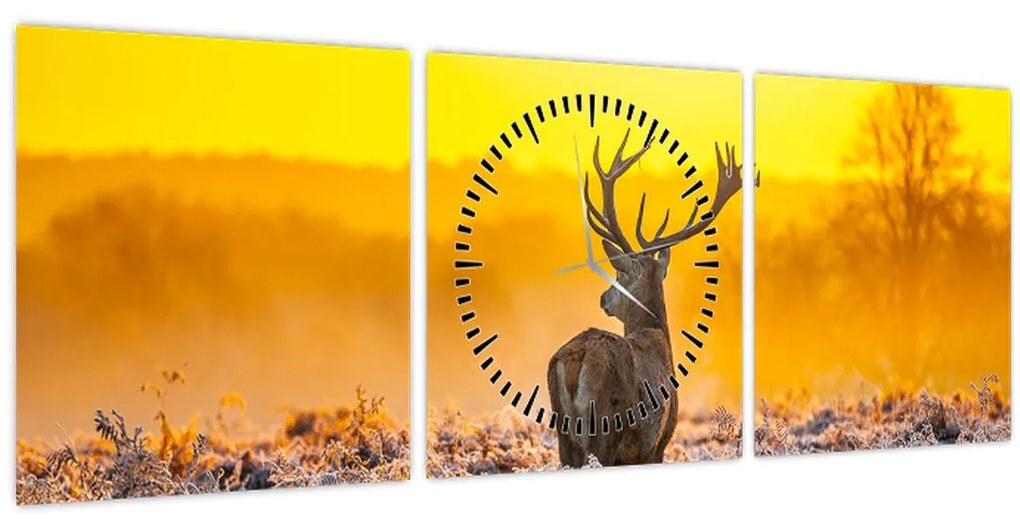 Obraz - Jeleň pri východe slnka (s hodinami) (90x30 cm)