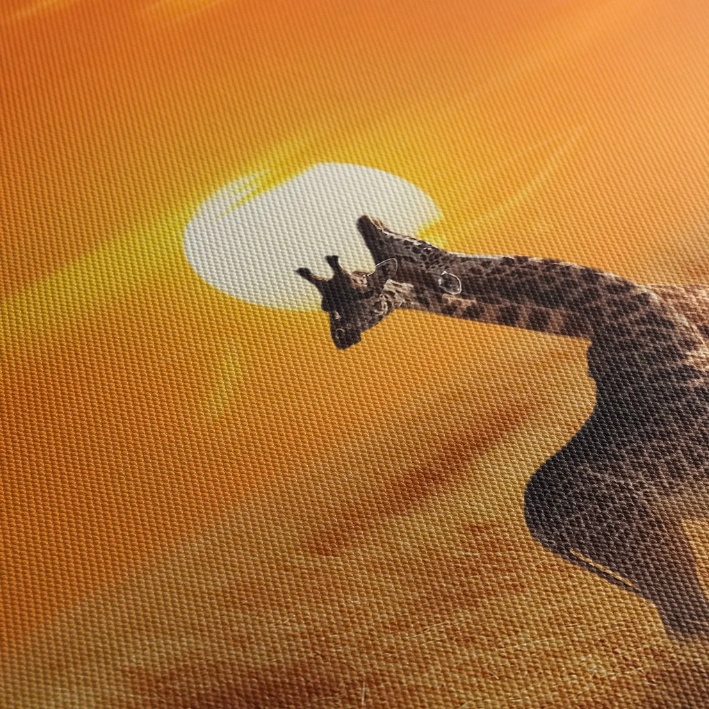Obraz - Žirafy v národnom parku Serengeti (90x60 cm)