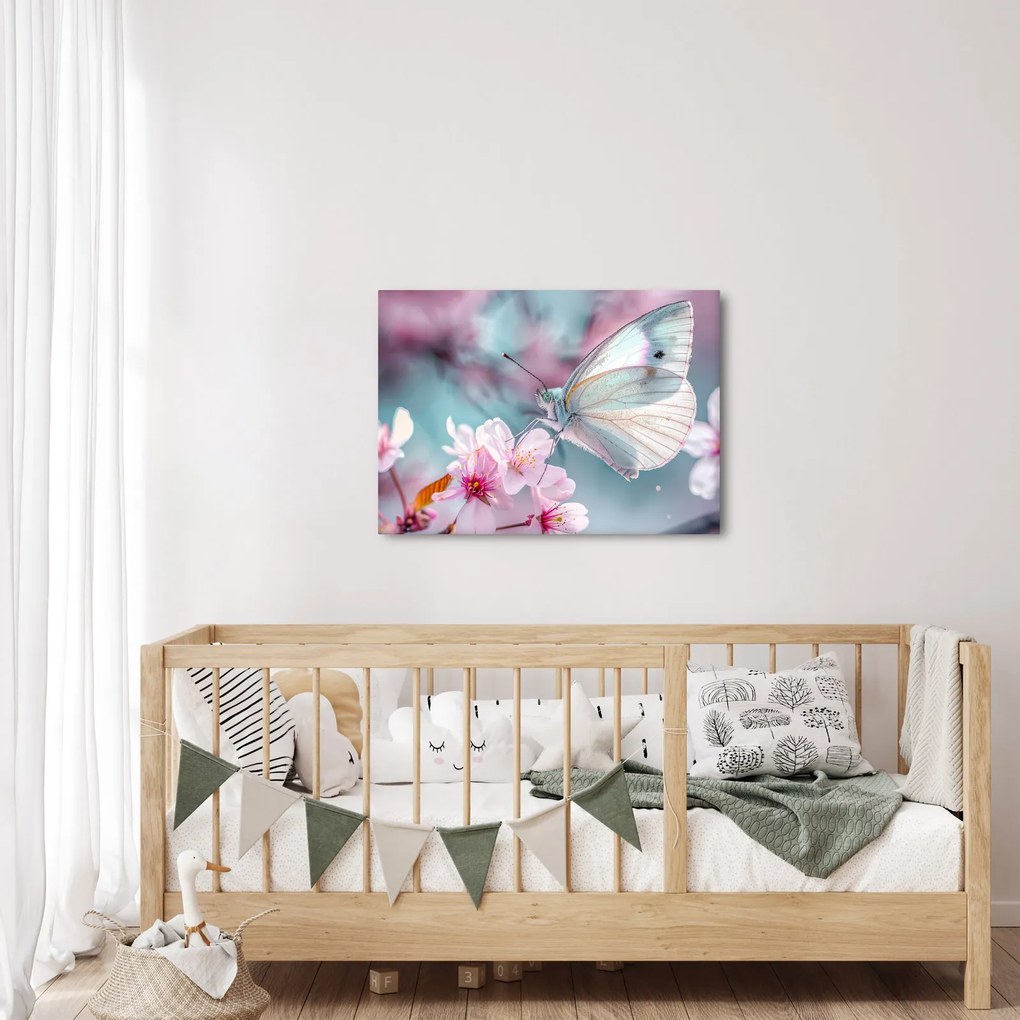 Obraz - Motýľ na čerešni (70x50 cm)
